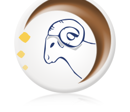 Oroscopo 2014 Ariete