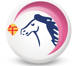 Oroscopo Cinese 2017 Cavallo