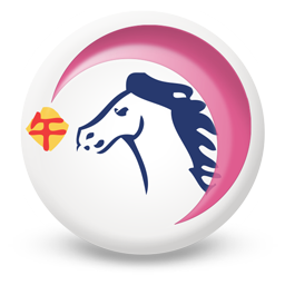 Oroscopo Cinese 2022 Cavallo