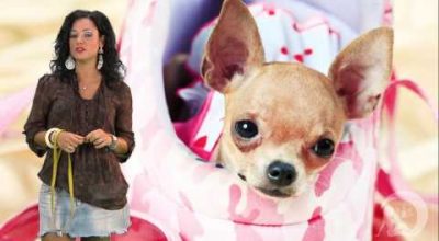 Il cane ideale per il tuo segno zodiacale