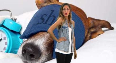 Il cane ideale per il tuo segno zodiacale