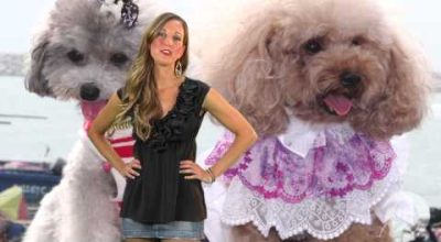 Il cane ideale per il tuo segno zodiacale