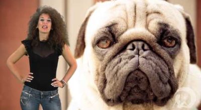 Il cane ideale per il tuo segno zodiacale