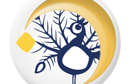 Il Pavone (16 novembre – 13 dicembre)