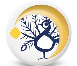 Il Pavone (16 novembre – 13 dicembre)