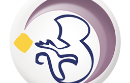 La Scimmia (11 gennaio – 7 febbraio)