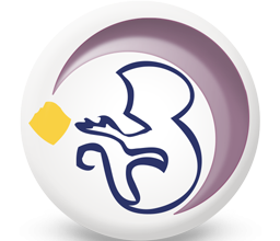 La Scimmia (11 gennaio – 7 febbraio)