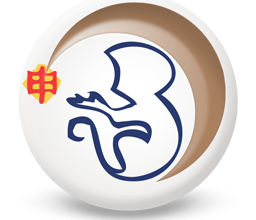 Oroscopo Cinese 2017 Scimmia