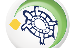 La Tartaruga (29 Giugno – 26 Luglio)