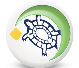 La Tartaruga (29 Giugno – 26 Luglio)