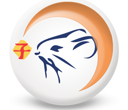 Oroscopo Cinese 2020